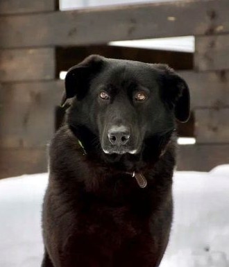 Танзания Б 173